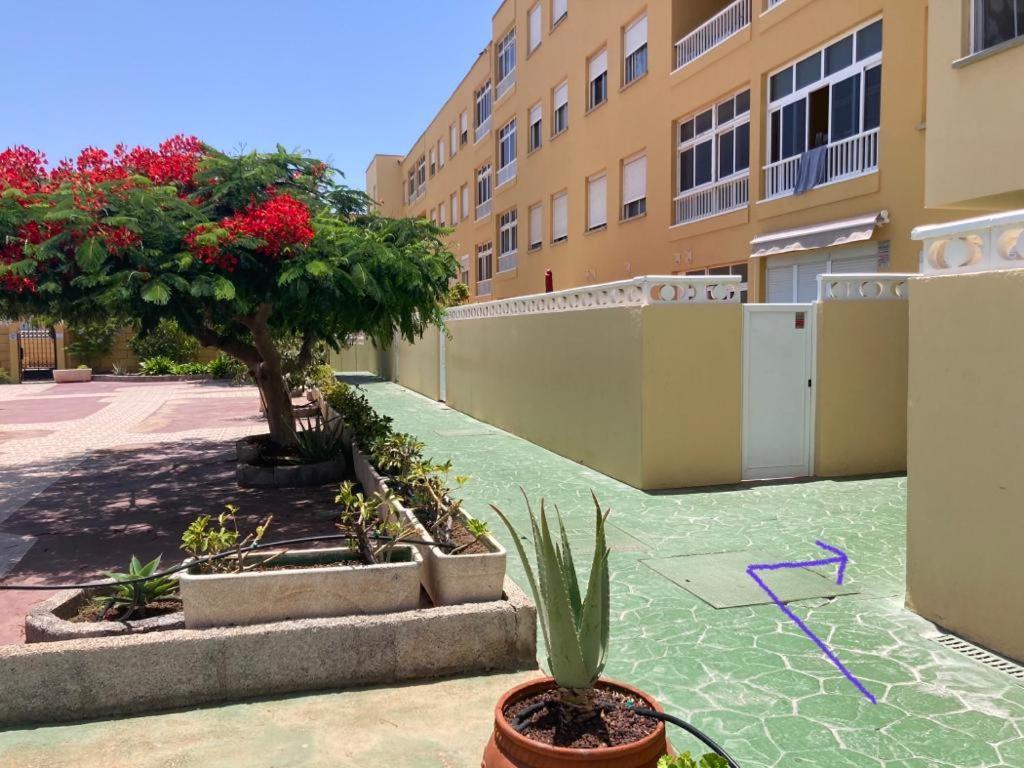 Anka Talo Apartment El Medano  Exterior photo